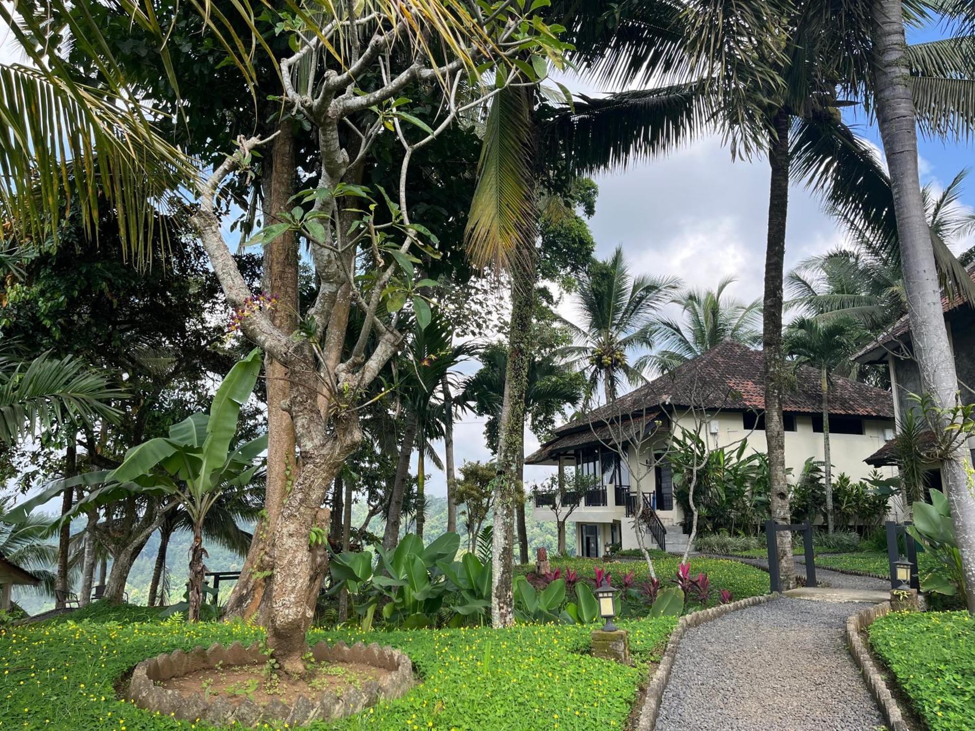 Hotel Domisili Ijen Cliff By Fays Hospitality Banyuwangi  Zewnętrze zdjęcie